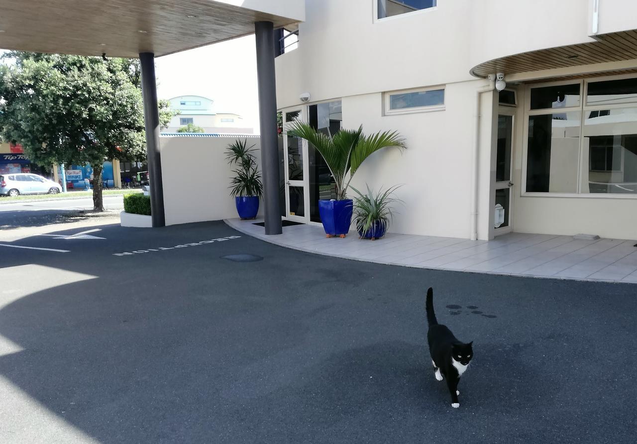 Pacific Motor Inn Mount Maunganui Luaran gambar